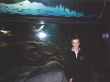 Vancouver Aquarium. Считается одним из лучших аквариумов в Северной Америке.